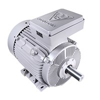 الکتروموتور توان 132 KW 3000 دور بدنه چدنی