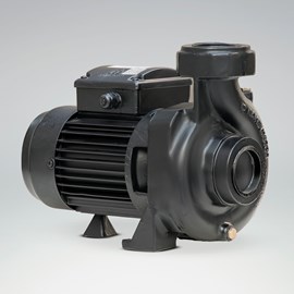 الکتروپمپ باغی CS100/2