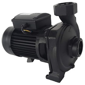 الکتروپمپ باغی CH310