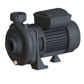 الکتروپمپ باغی CR100