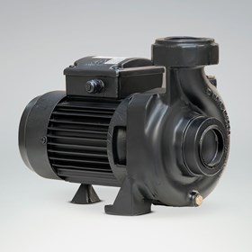 الکتروپمپ باغی CS100/2