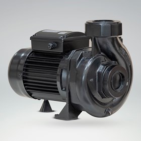 الکتروپمپ باغی CS150/2