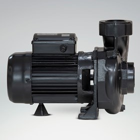 الکتروپمپ باغی CS300/3