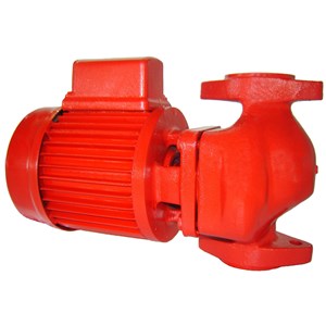 الکتروپمپ‌ سیرکولاتور S 100-1-1/4 inch