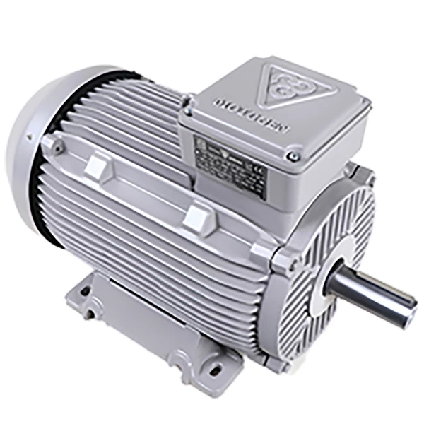الکتروموتور توان 18.5 KW 3000 دور بدنه چدنی